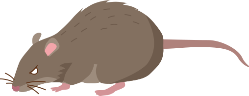 ねずみ